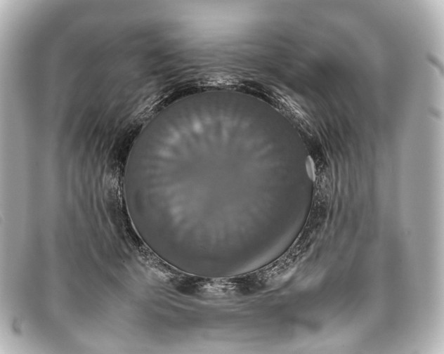 X0000093370415200710251158