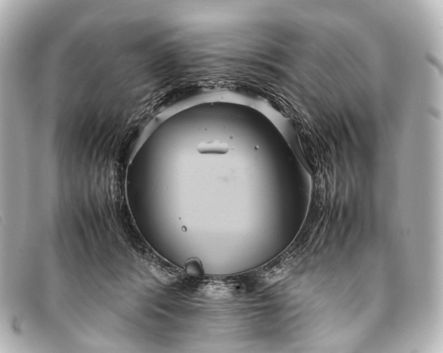 X0000093370416200710251158