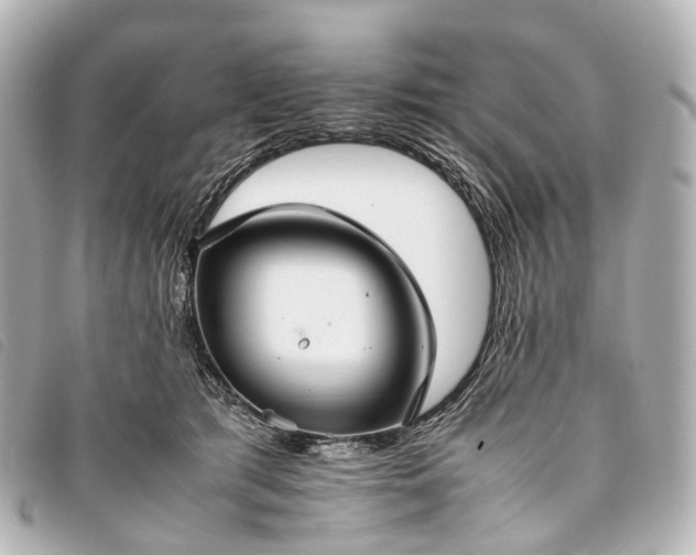 X0000093370417200710251158