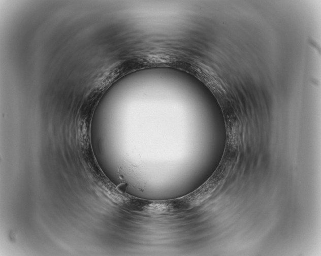 X0000093370418200710251158