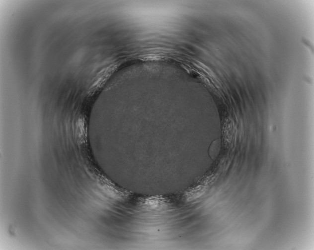 X0000093370420200710251158