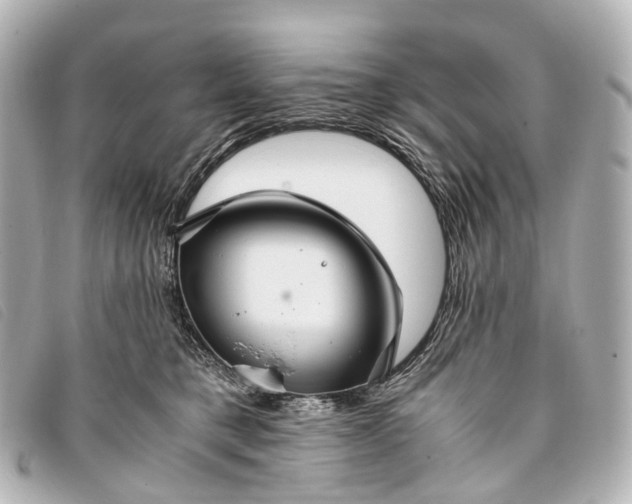 X0000093370421200710251158