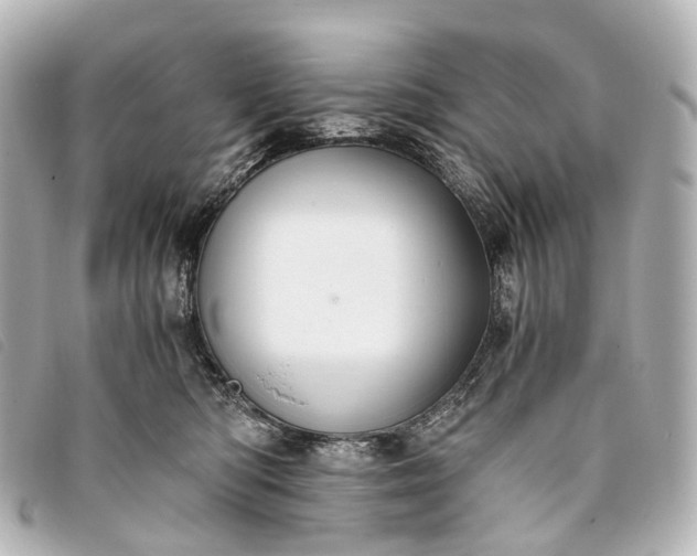 X0000093370422200710251158