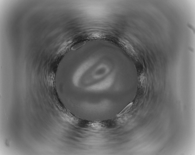 X0000093370423200710251158