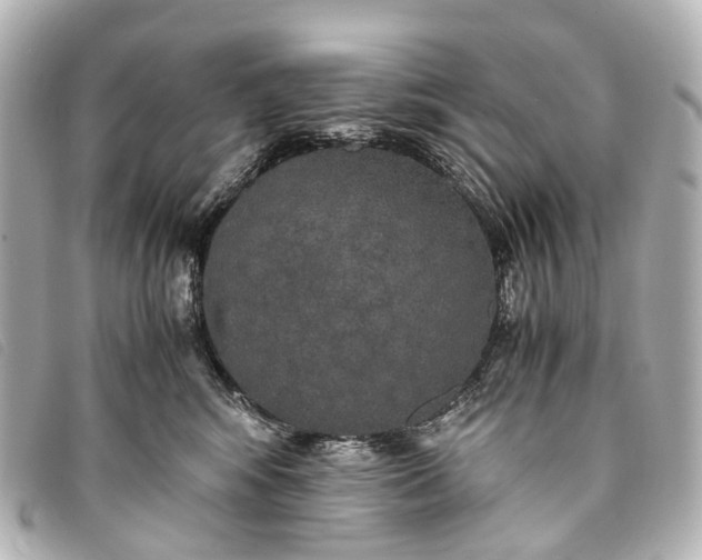 X0000093370424200710251158