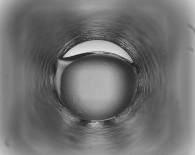 X0000093370425200710251158