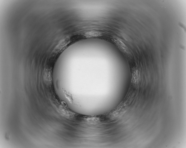 X0000093370426200710251158