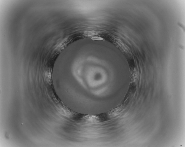 X0000093370427200710251158