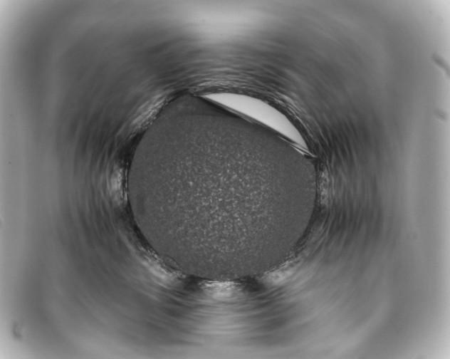 X0000093370428200710251158