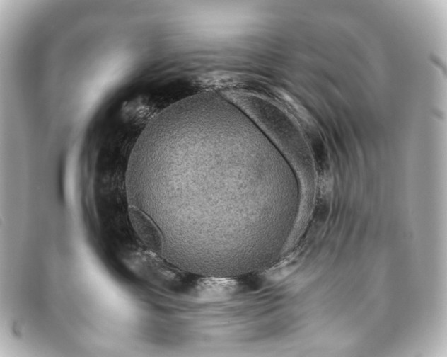 X0000093370429200710251158