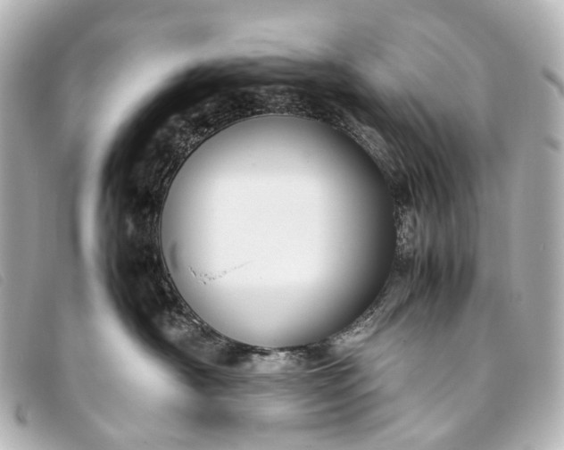 X0000093370430200710251158