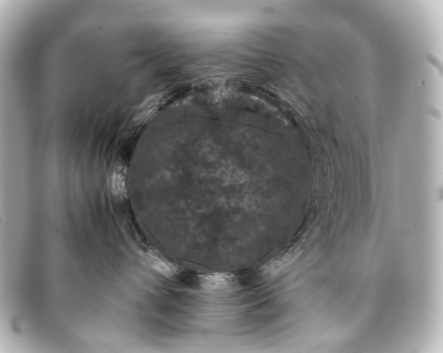 X0000093370432200710251158