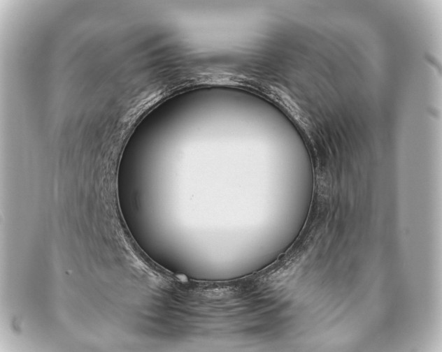 X0000093370433200710251157