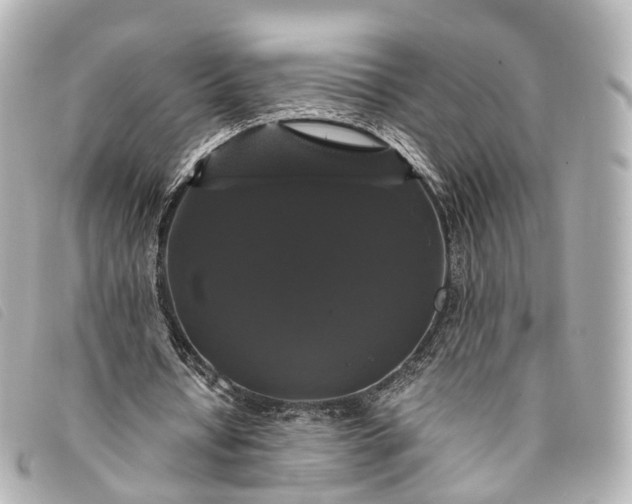 X0000093370434200710251157