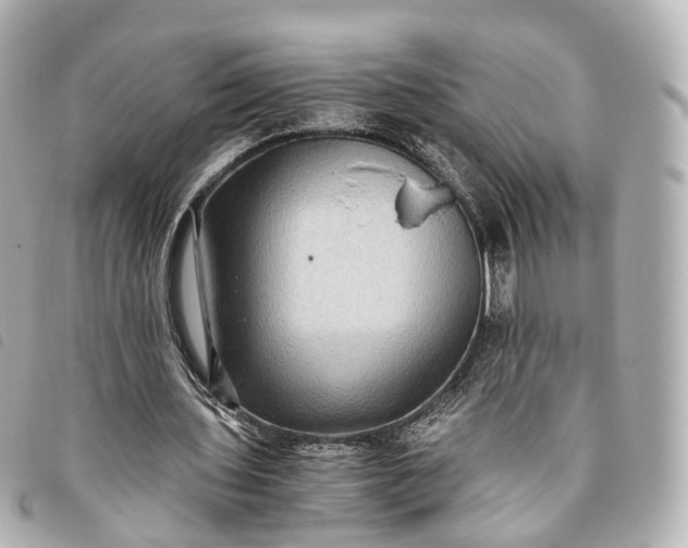 X0000093370435200710251157