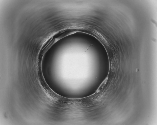 X0000093370436200710251157