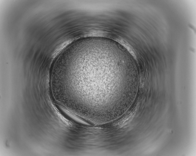 X0000093370437200710251157