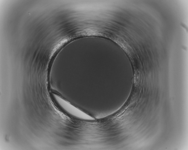 X0000093370438200710251157