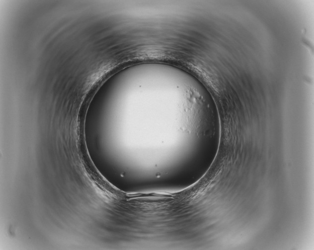 X0000093370439200710251157