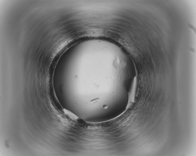 X0000093370440200710251157