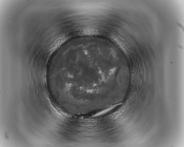 X0000093370443200710251157