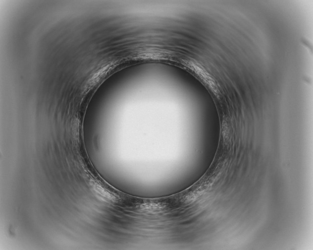 X0000093370445200710251157