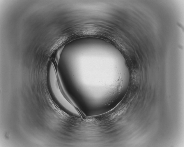 X0000093370446200710251157