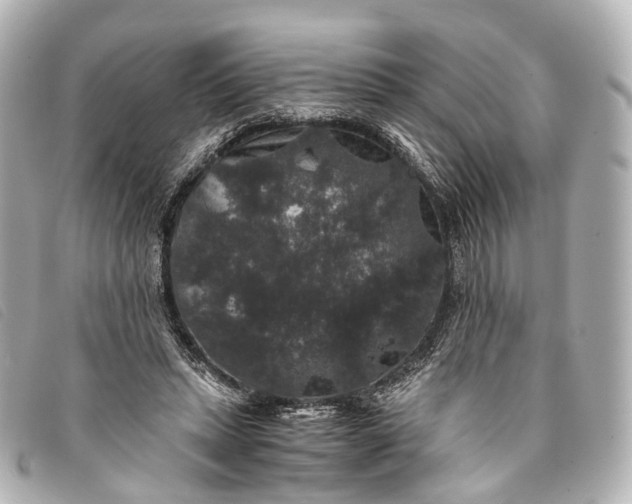 X0000093370447200710251157