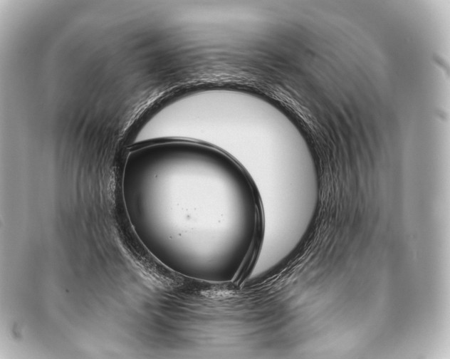 X0000093370448200710251157