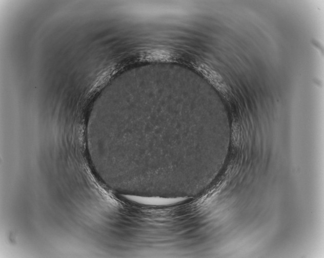 X0000093370449200710251157