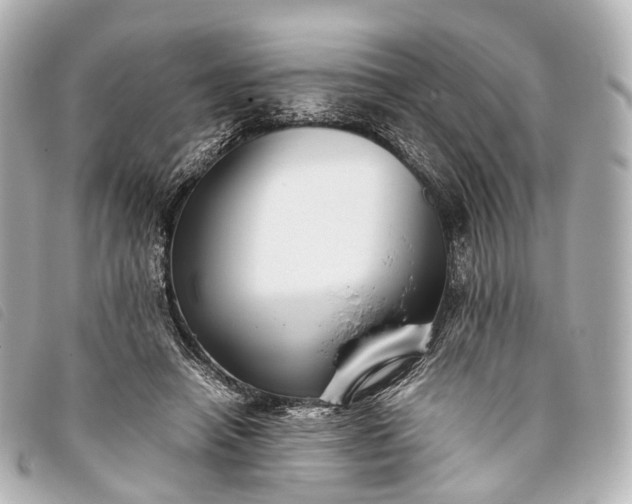 X0000093370450200710251157