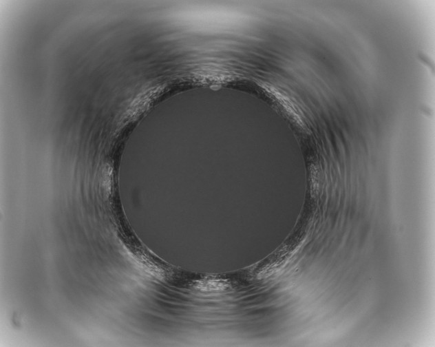 X0000093370451200710251157