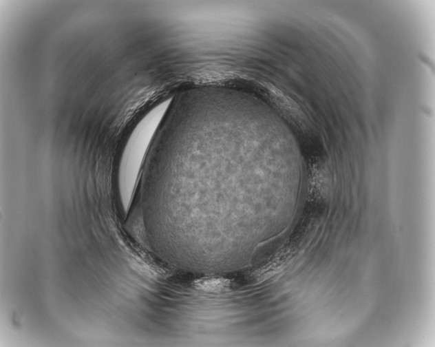 X0000093370452200710251157