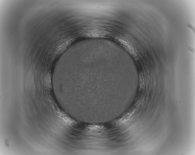 X0000093370453200710251157