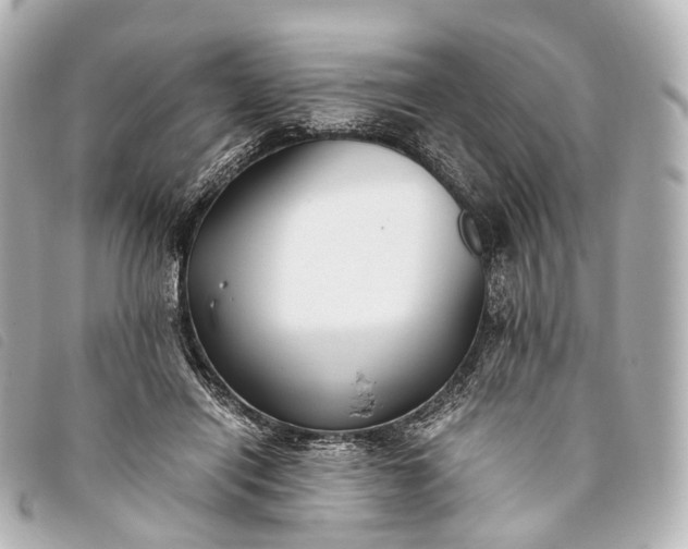 X0000093370454200710251157