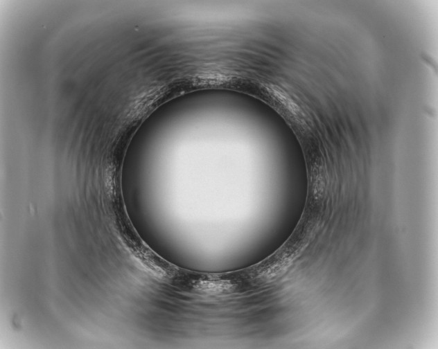 X0000093370455200710251157