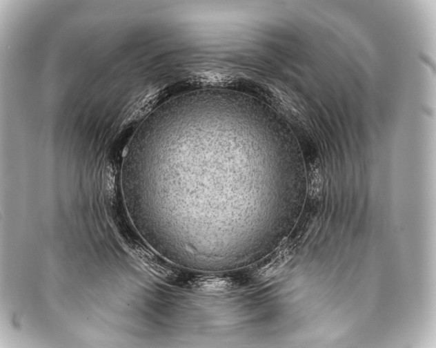 X0000093370456200710251157