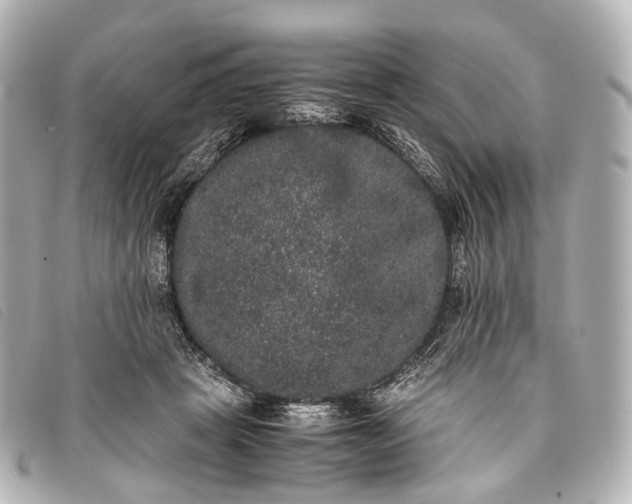 X0000093370457200710251157