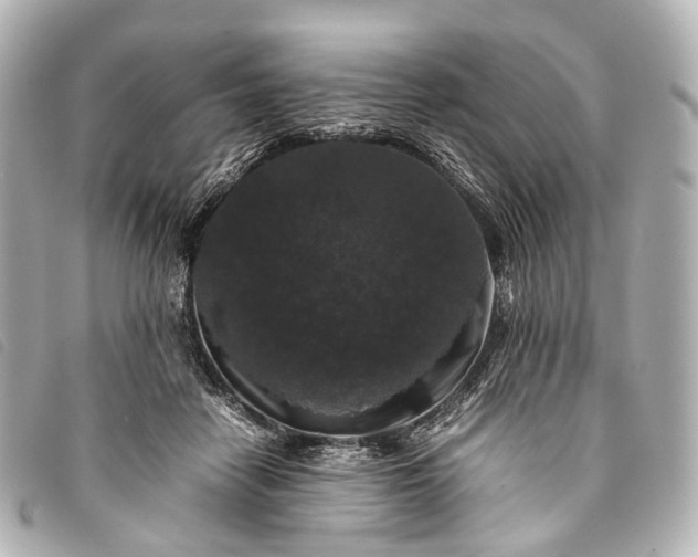 X0000093370458200710251157