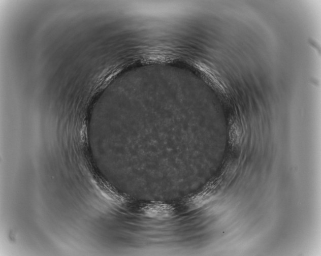 X0000093370459200710251157