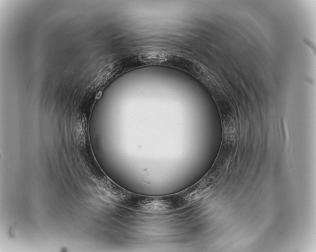 X0000093370460200710251157