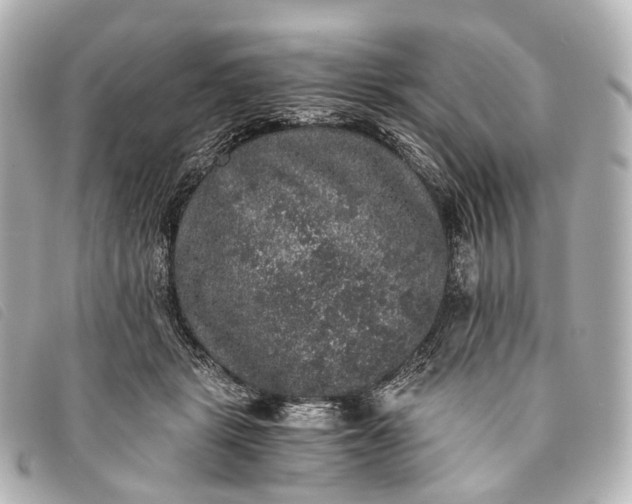 X0000093370461200710251157