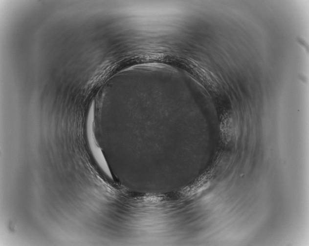 X0000093370462200710251157