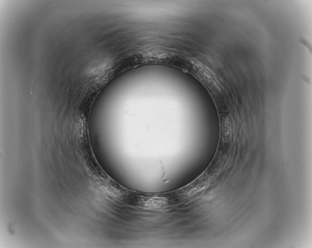 X0000093370463200710251157