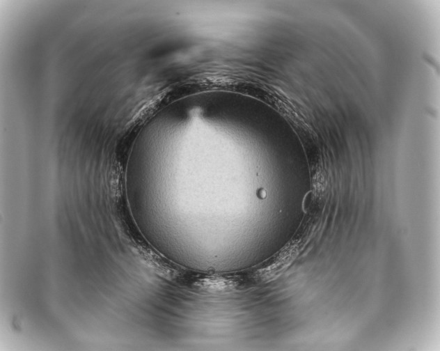 X0000093370464200710251157