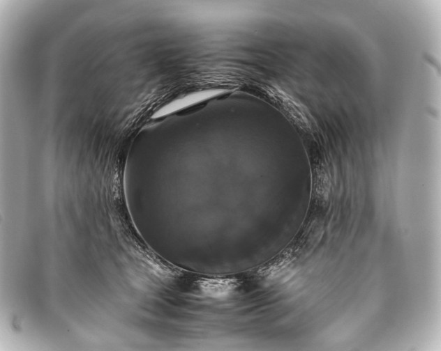 X0000093370465200710251157