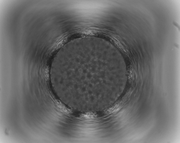 X0000093370466200710251158