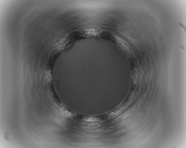 X0000093370467200710251158