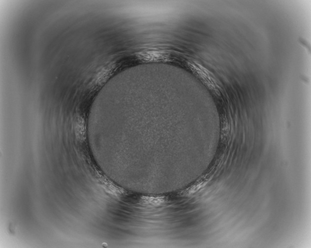 X0000093370469200710251158