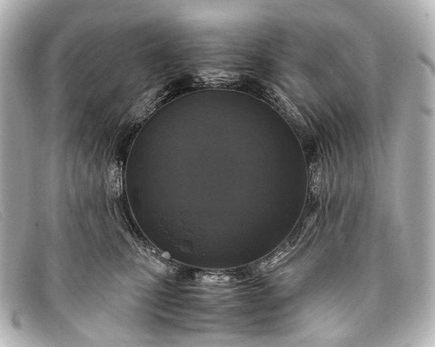 X0000093370471200710251158